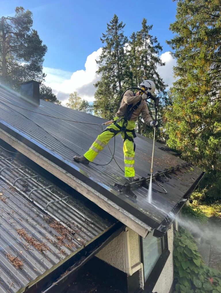 Peltikaton pesu – Kuinka usein peltikatto pitäisi pestä?